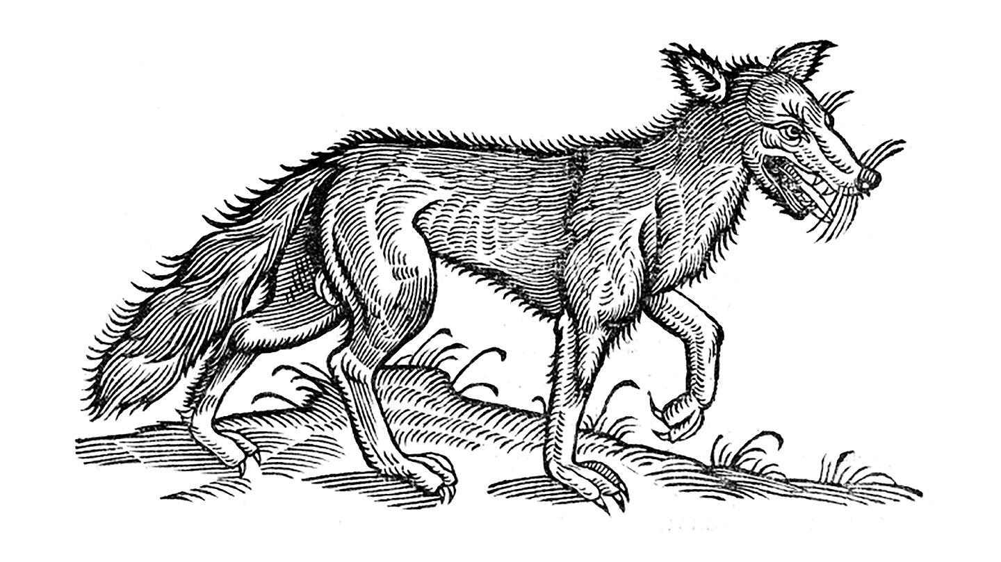 Stylised wolf and digital pattern